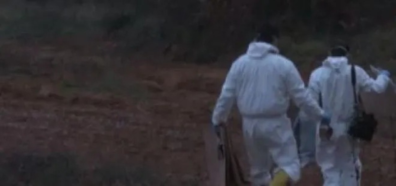 Eşi 4 gün önce kayıp ilanı vermişti. İstanbul'da Cafer Işık ağaçta asılı halde ölü bulundu