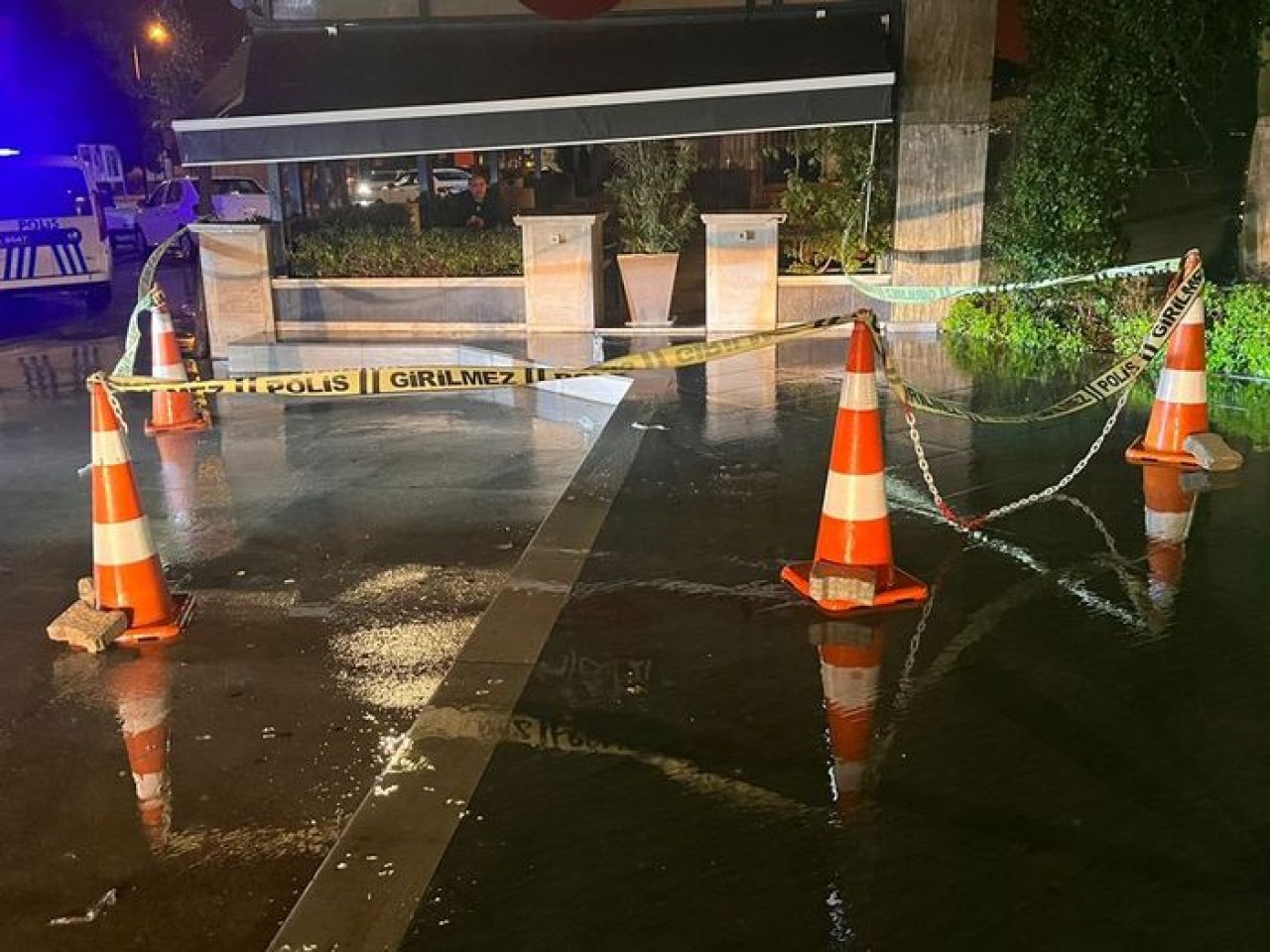 Milas'ta kafasına sopayla vurulan Ümit Özlü öldü