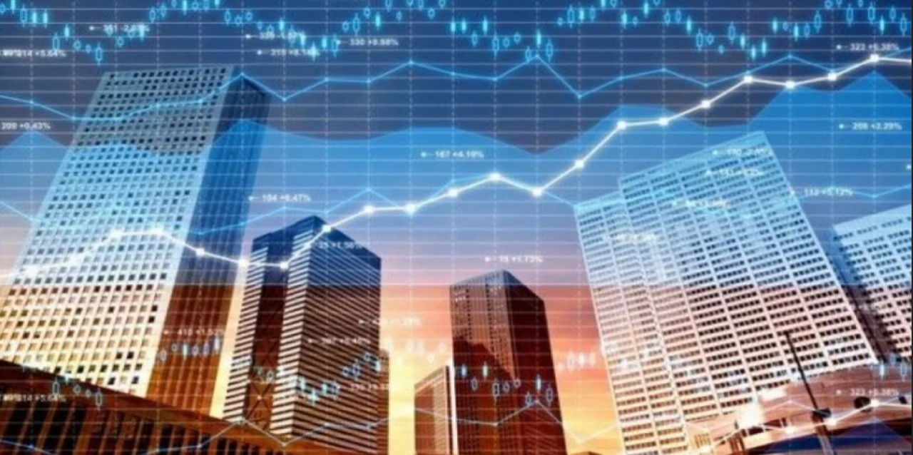 Türkiye'nin  dev holdingi iflas etti! Harvard'a ders olmuştu