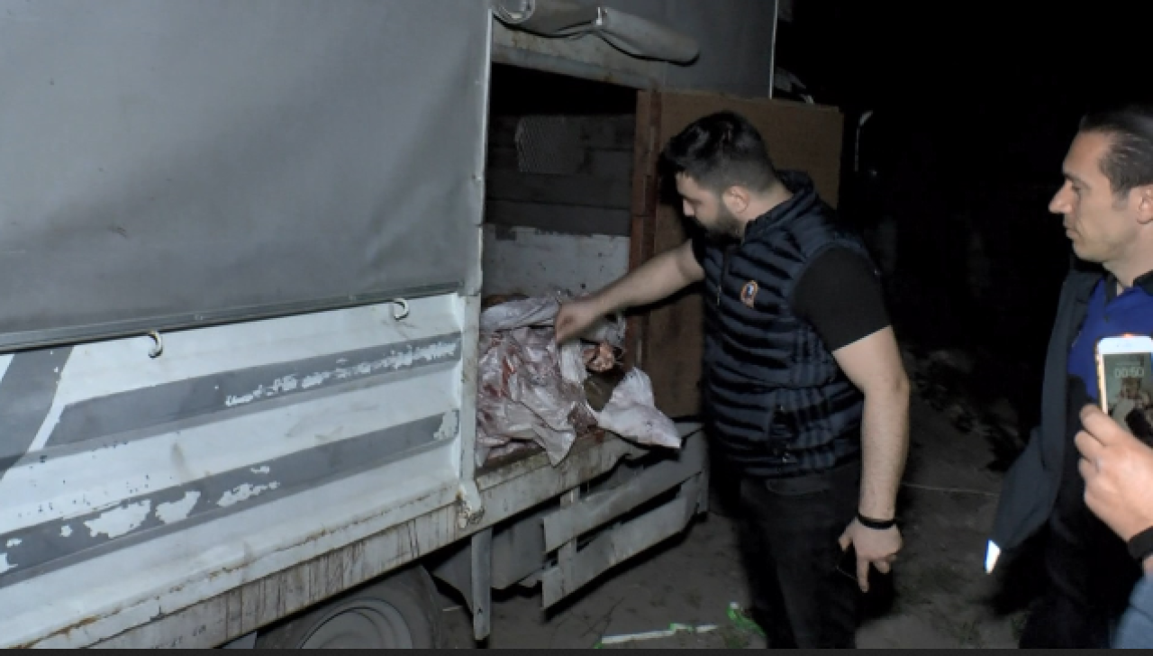 İstanbul'da at eti baskını: Kilolarca at eti bulundu 3 hayvan kurtarıldı!