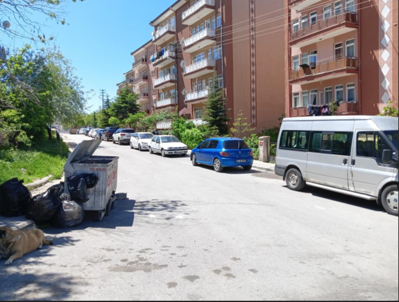 Ankara'da feci olay! 15 yaşındaki çocuk ablasını öldürdü