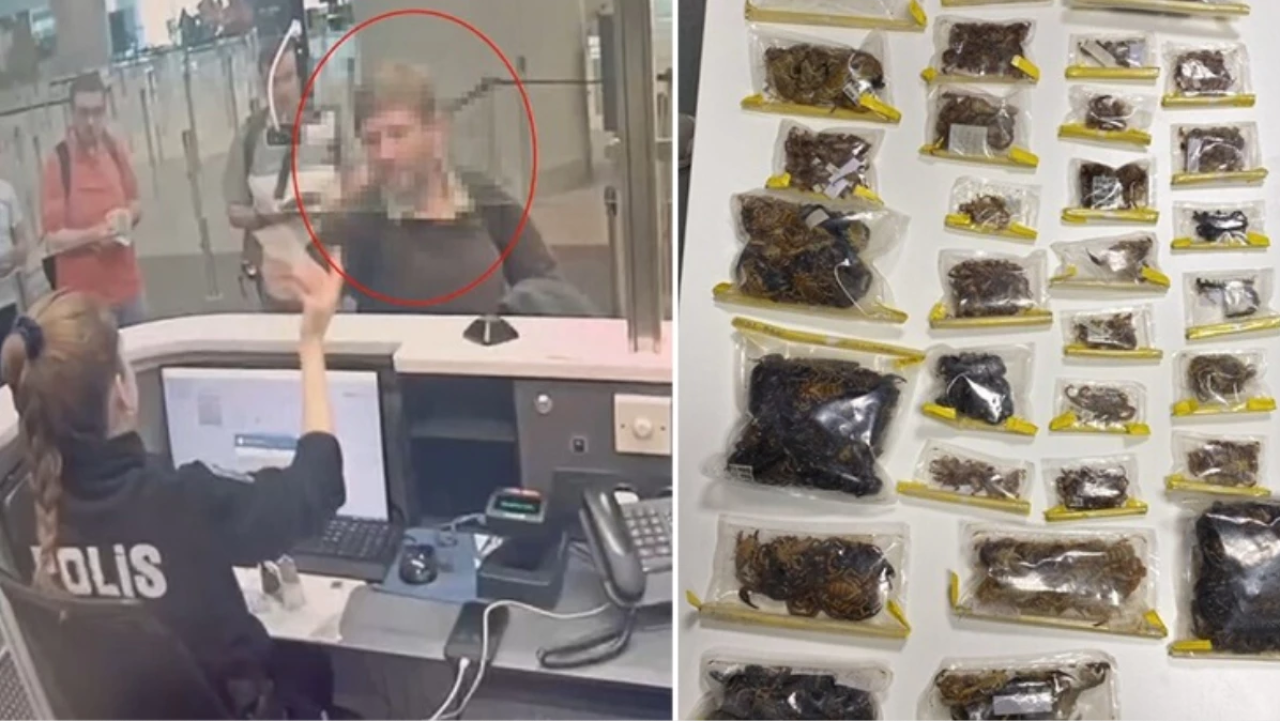 İstanbul Havalimanı'nda operasyon! ABD'li müze müdürü gözaltına alındı