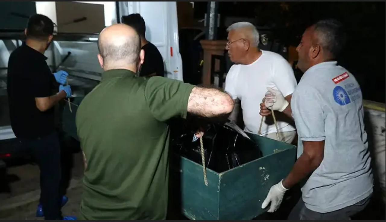 Antalya'da kadın cinayeti! Pakistanlı kadının boynu ve 3 parmağı kesilmiş cesedi bulundu