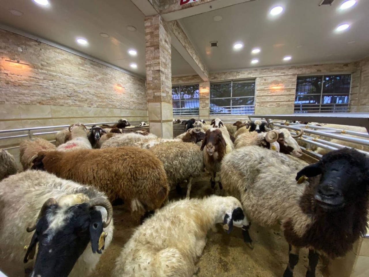 Kurban keserken bıçağın üzerine düşen Doğan İçeloğlu öldü