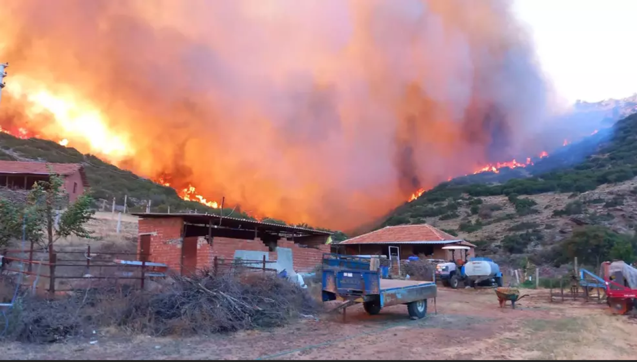 Manisa'da orman yangını: 14, 5 saatte kontrol altına alındı!