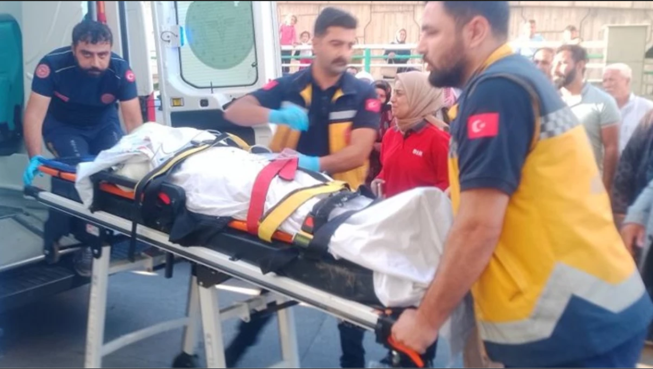 Şanlıurfa'da yüksek gerilim faciası! Ozan Baytug ve Fatih Baytug öldü, 3 kişi ağır yaralı