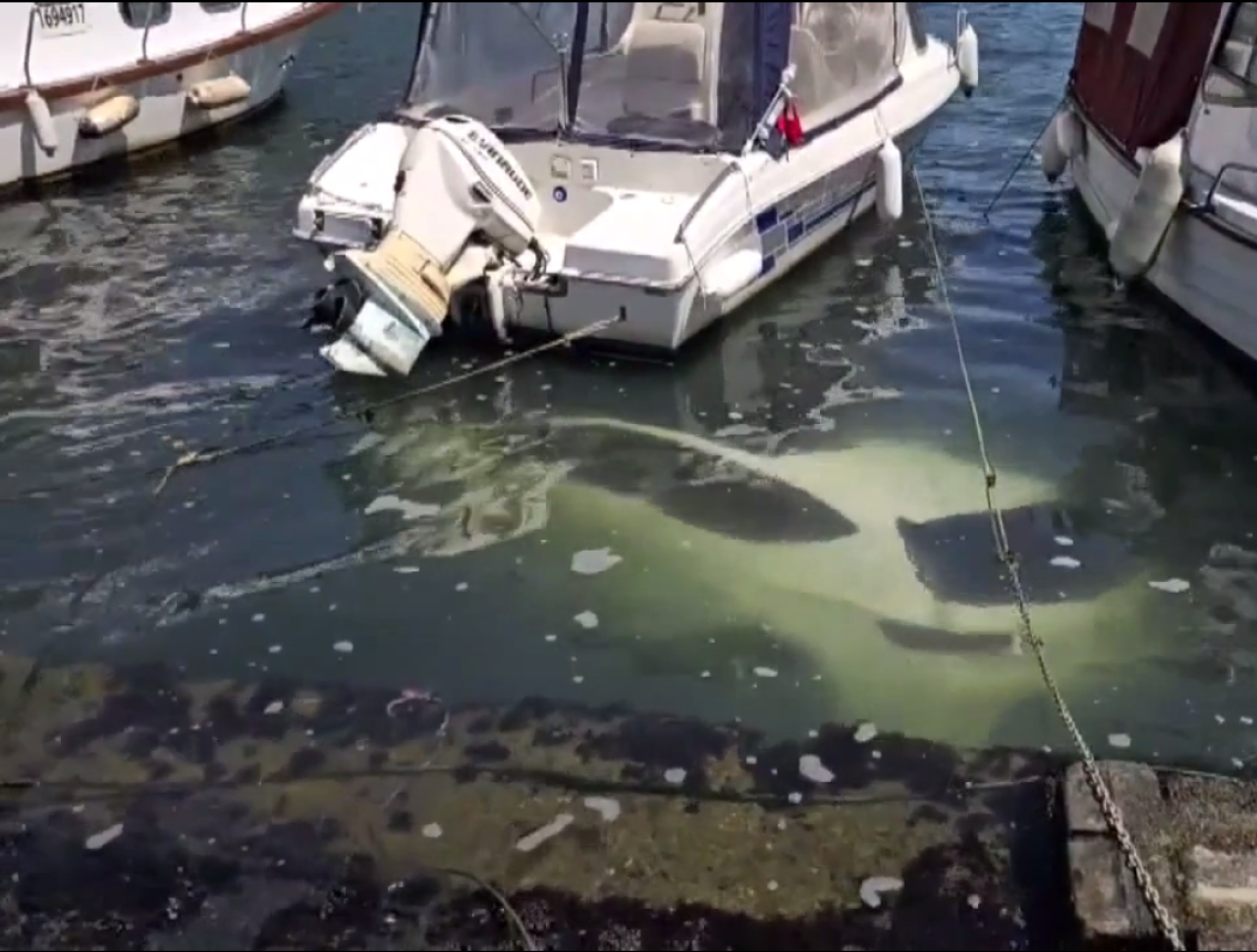 İstanbul'da akıllara durgunluk veren olay! Sürücü son anda kurtuldu, otomobil denize düştü