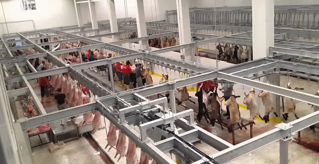 20 ülkeye ihracat yapıyorlardı: 74 yıllık dev Türk şirketi iflas etti