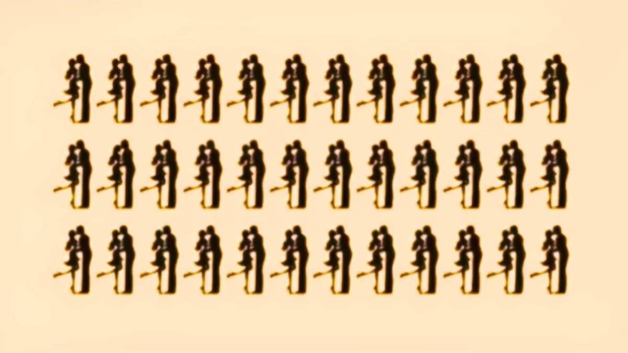 Sadece 5 saniyede farklı çifti bulan yüksek zekalı çıkıyor