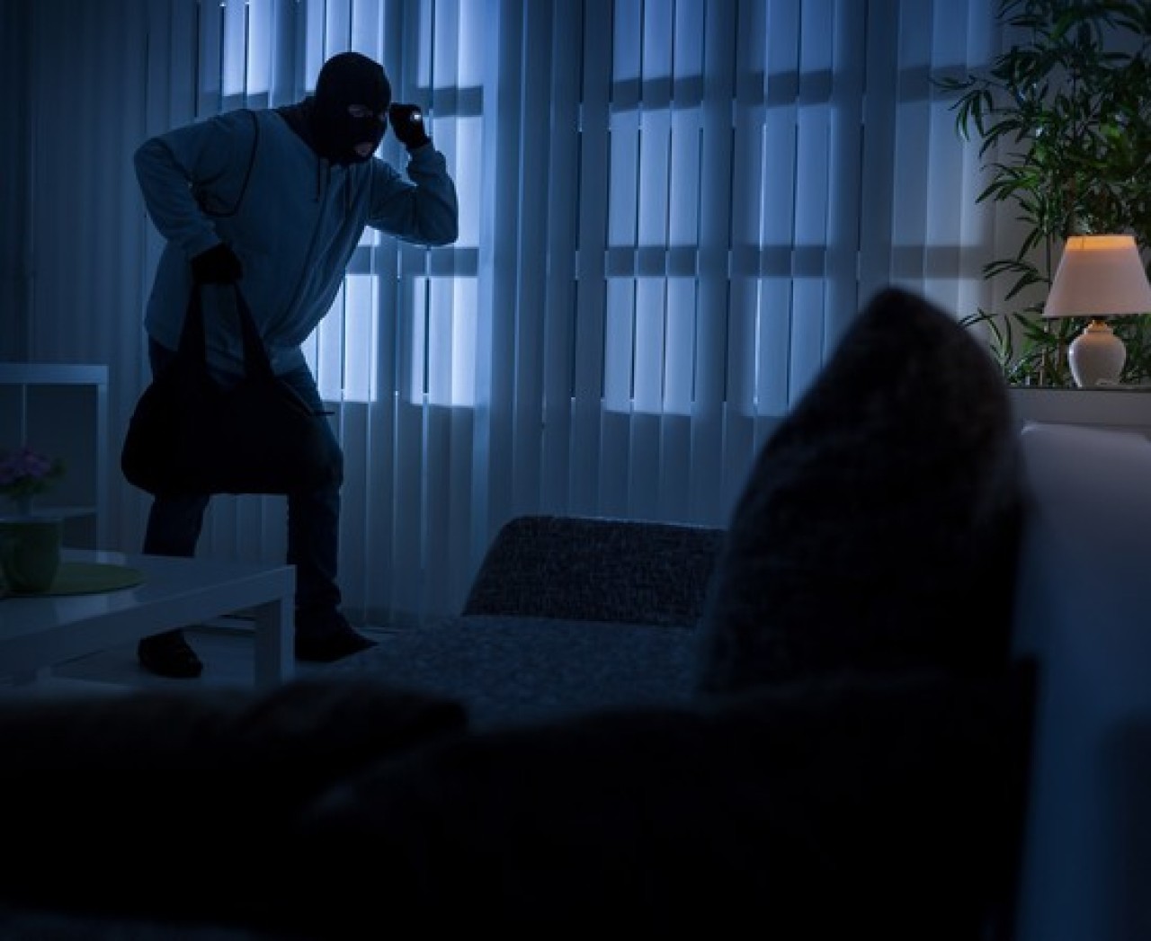 Cumhurbaşkanlığı Sarayı'nı hırsız soydu