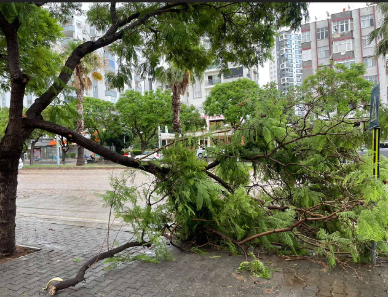Adana'da şiddetli yağmur ve rüzgar hayatı olumsuz etkiledi!