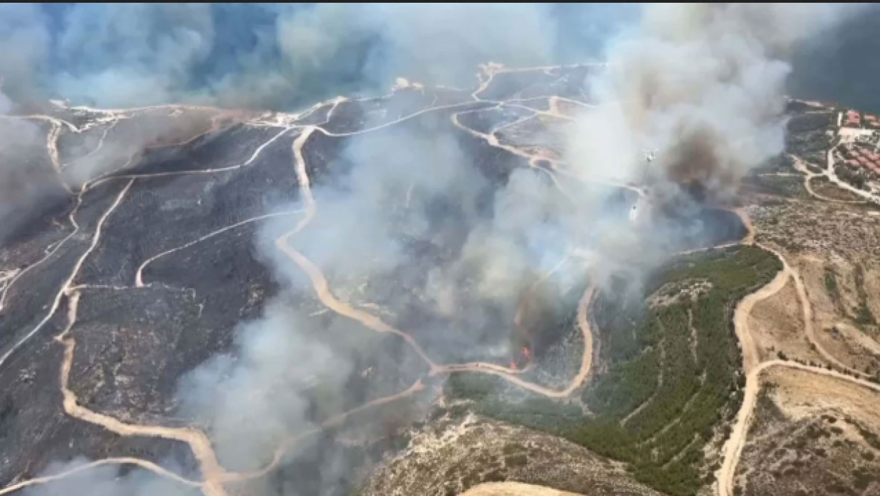 Çeşme'de orman yangını!