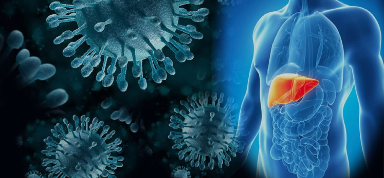 Dünya Hepatit Günü