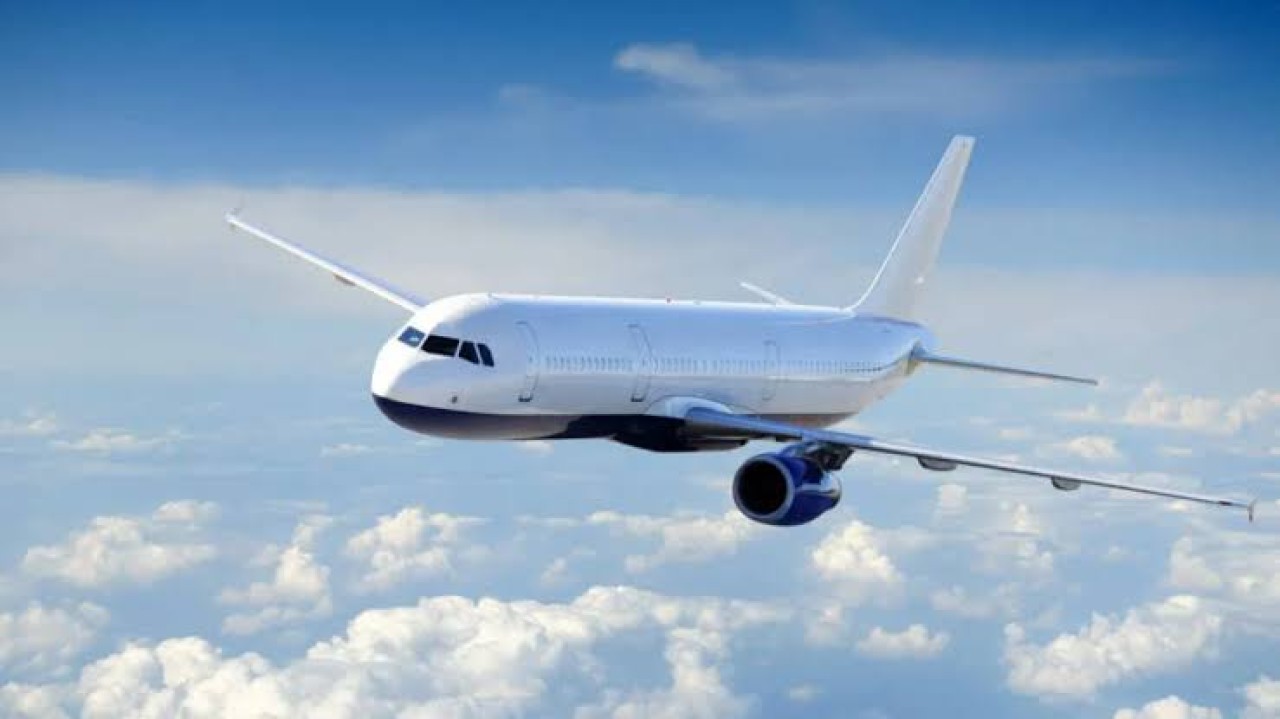 Türkiye'nin dev havayolu şirketi iflas etti