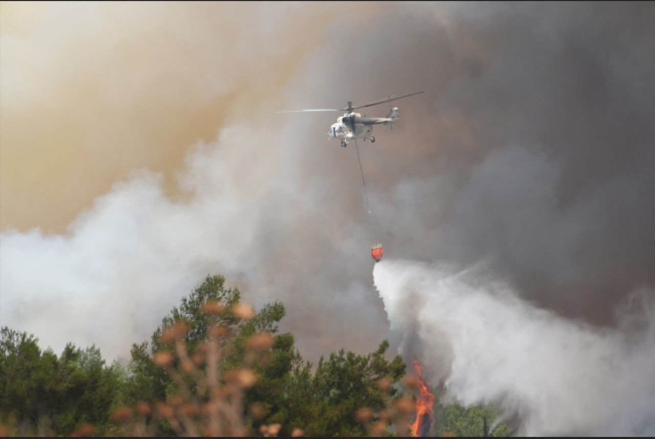 İzmir'de orman yangını!