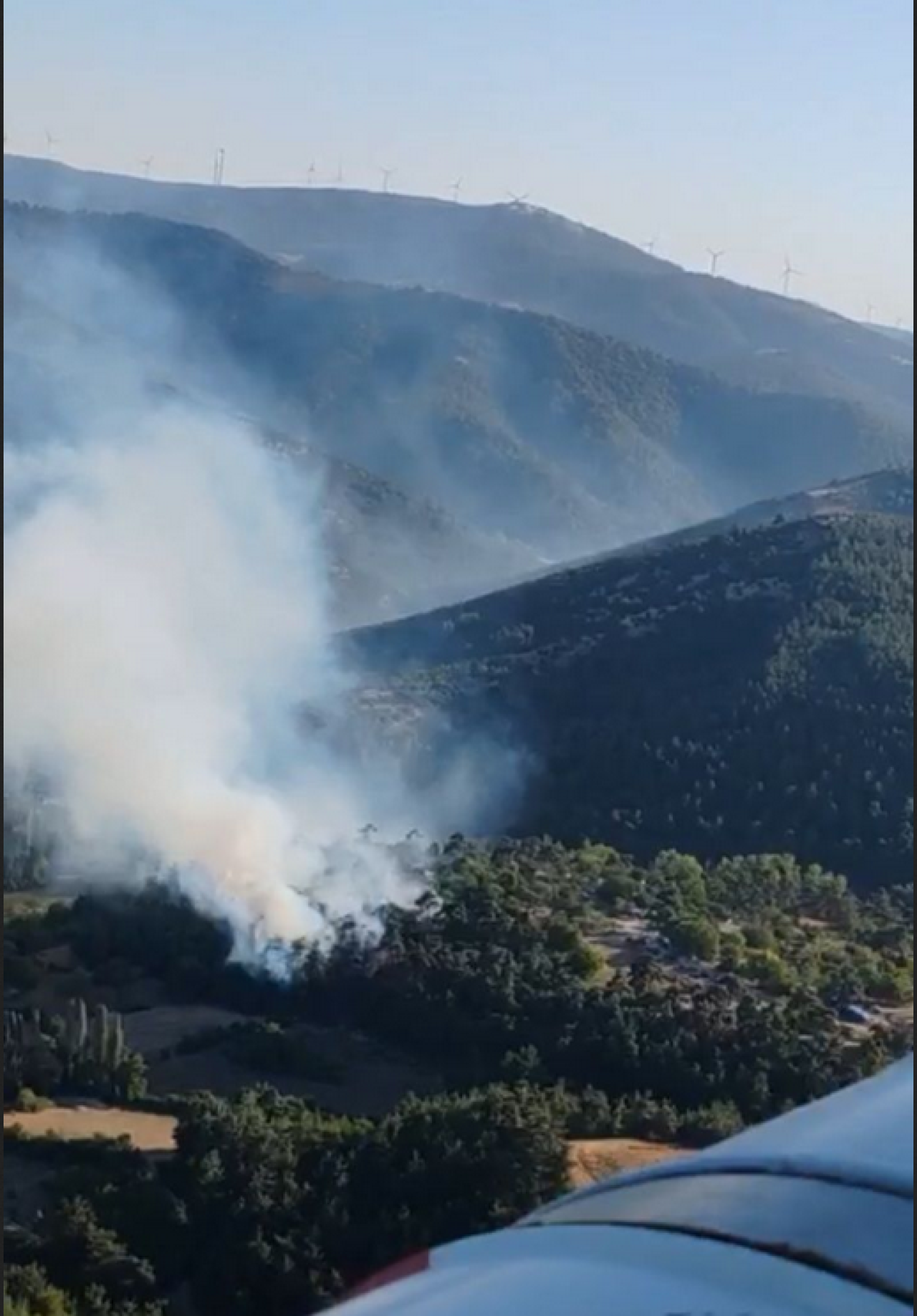 Balıkesir'de orman yangını!