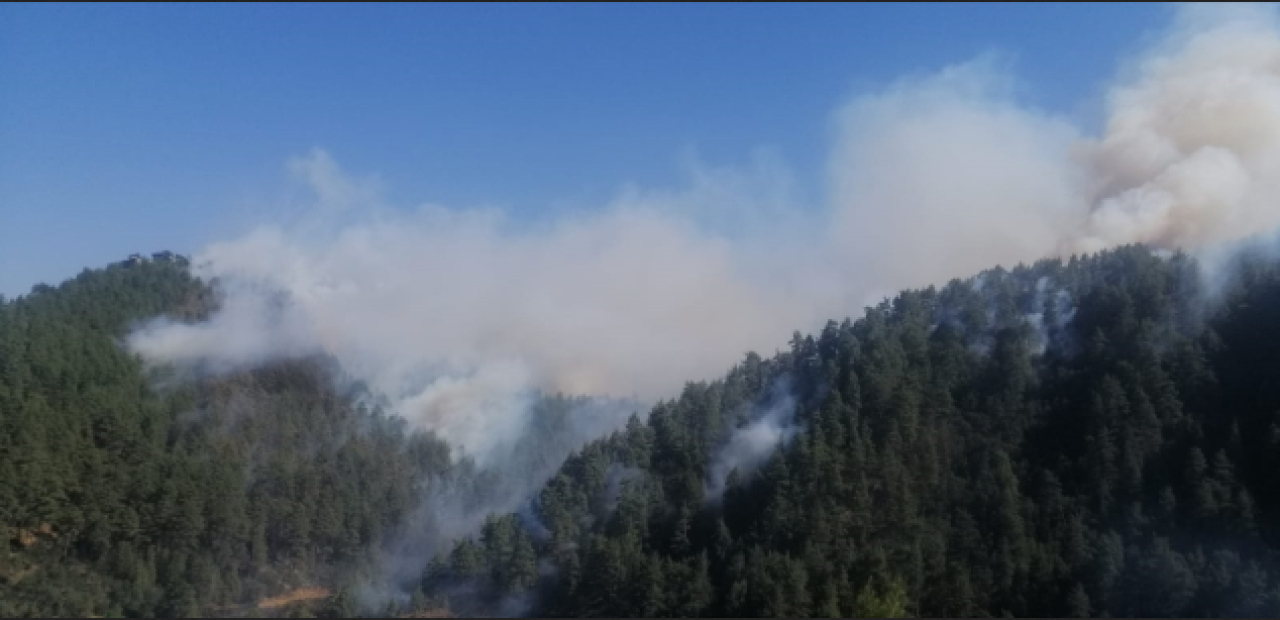 4 ilde orman yangını alarmı!