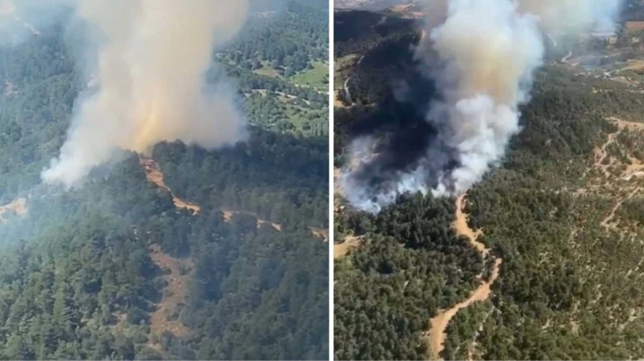 İzmir Ödemiş'te orman yangını!