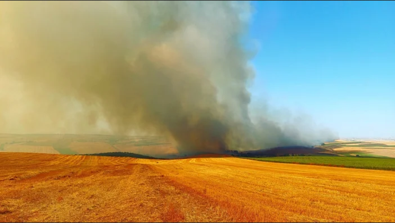 Tekirdağ'da anız yangını: 2 bin dönüm tarım alanında zarar!