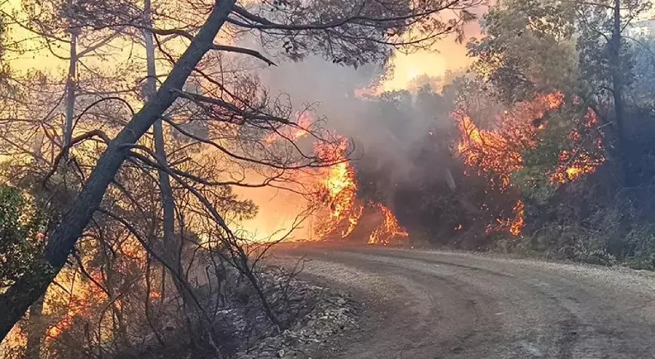 Adana Kozan yanıyor. Evler tahliye edildi