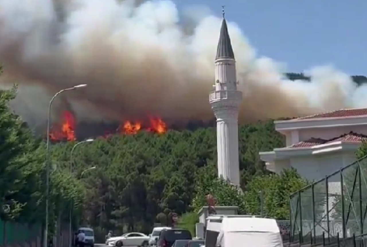 İstanbul'daki Aydos Ormanı'nda yangın!