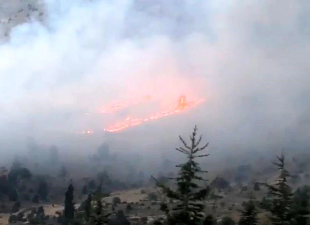 Üç ilde birden orman yangını çıktı. Ekipler müdahale ediyor