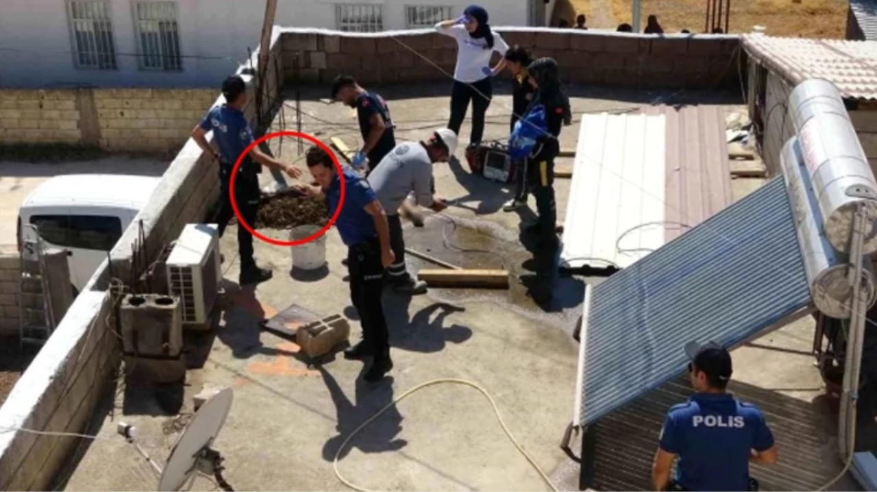 Adıyaman'da boya yaparken Abdurrahman Atlı yaşamını yitirdi!