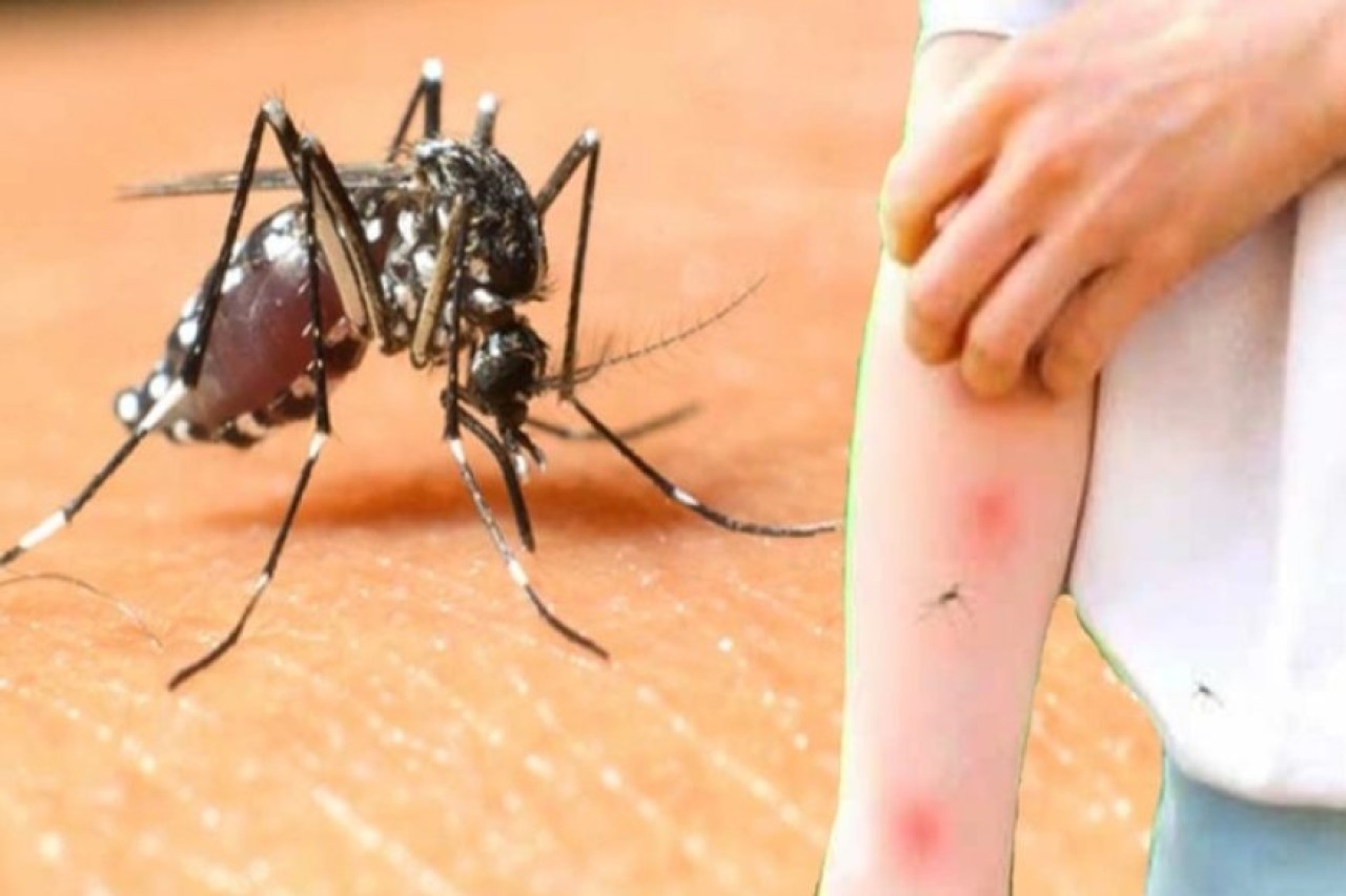 Sağlık Bakanlığı'ndan Batı Nil Virüsü açıklaması: 6 kişide tespit edildi