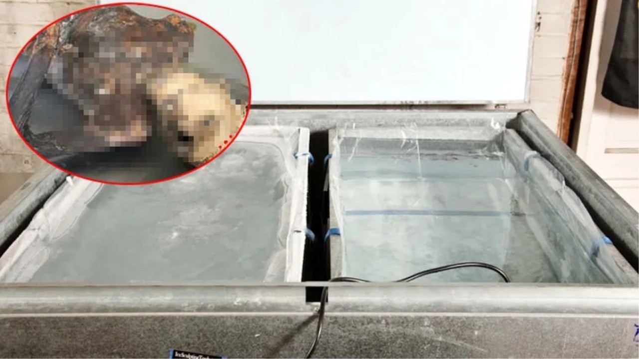 İşyerinde buzdolabının arkasına düşen adamın cesedi 10 yıl sonra bulundu