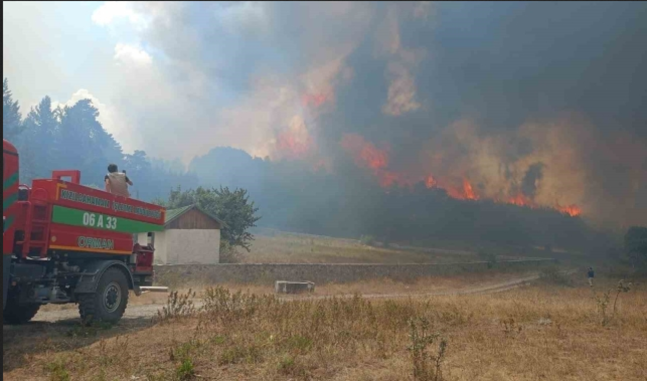 Kızılcahamam’daki orman yangını ile ilgili olarak 1 şüpheli gözaltında!
