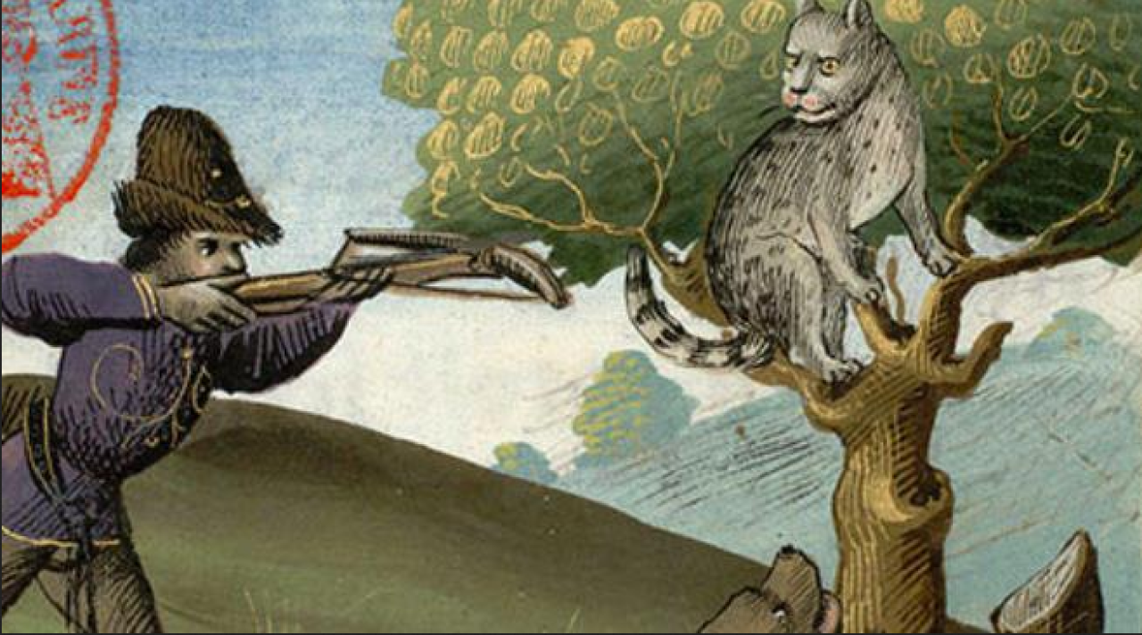 Orta Çağ Avrupa’sında Kediler Cadı Zannedildi