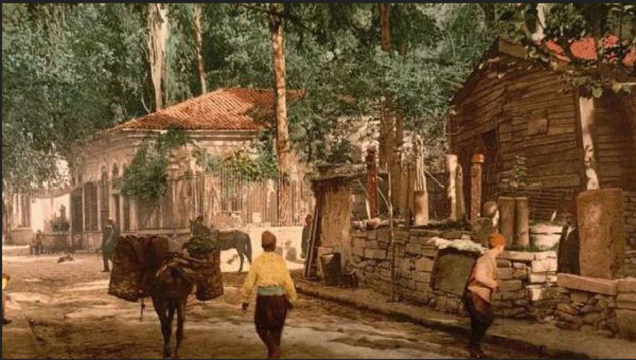 Osmanlı Sarayında Günlük Yaşam: Padişahlar,  Saraylılar ve Protokol