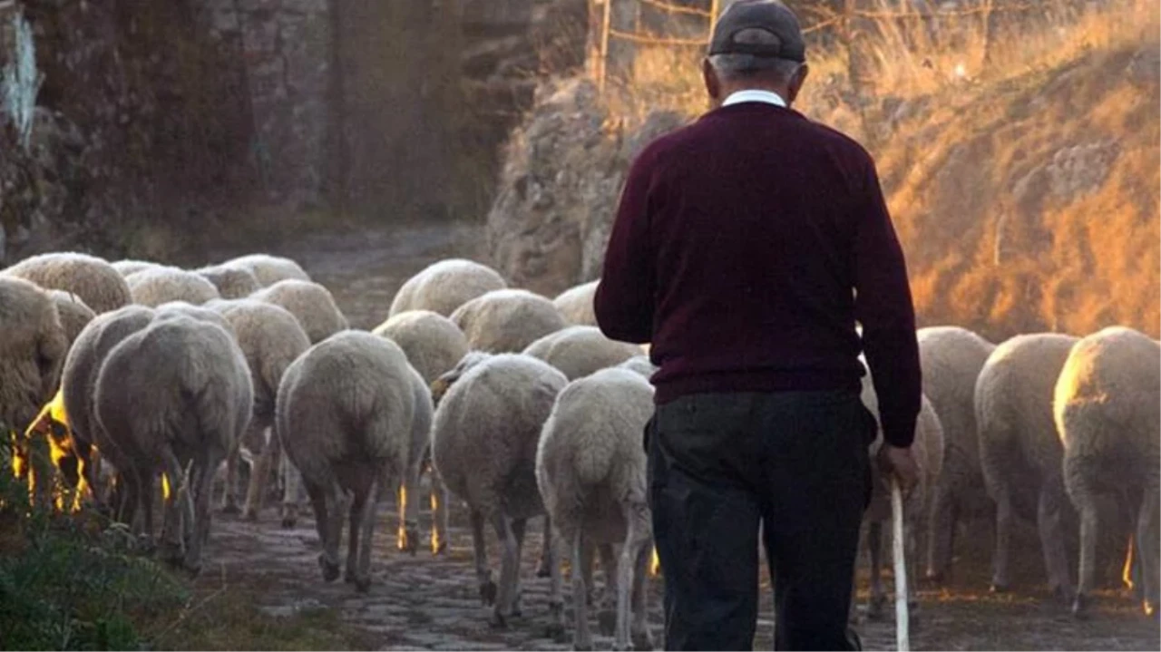 Yeni Bir Başlangıç: Küçük Şehirlerde Hayatın Avantajları ve Dezavantajları