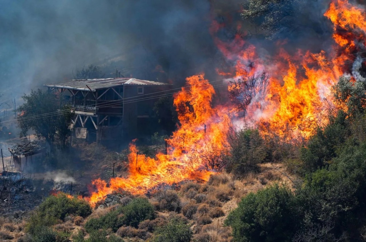 İzmir,  Bolu,  Ödemiş,  Didim,  Bozdoğan yanıyor. Yangınların neden çıktığını bakan açıkladı. Gözaltına alınanlar var