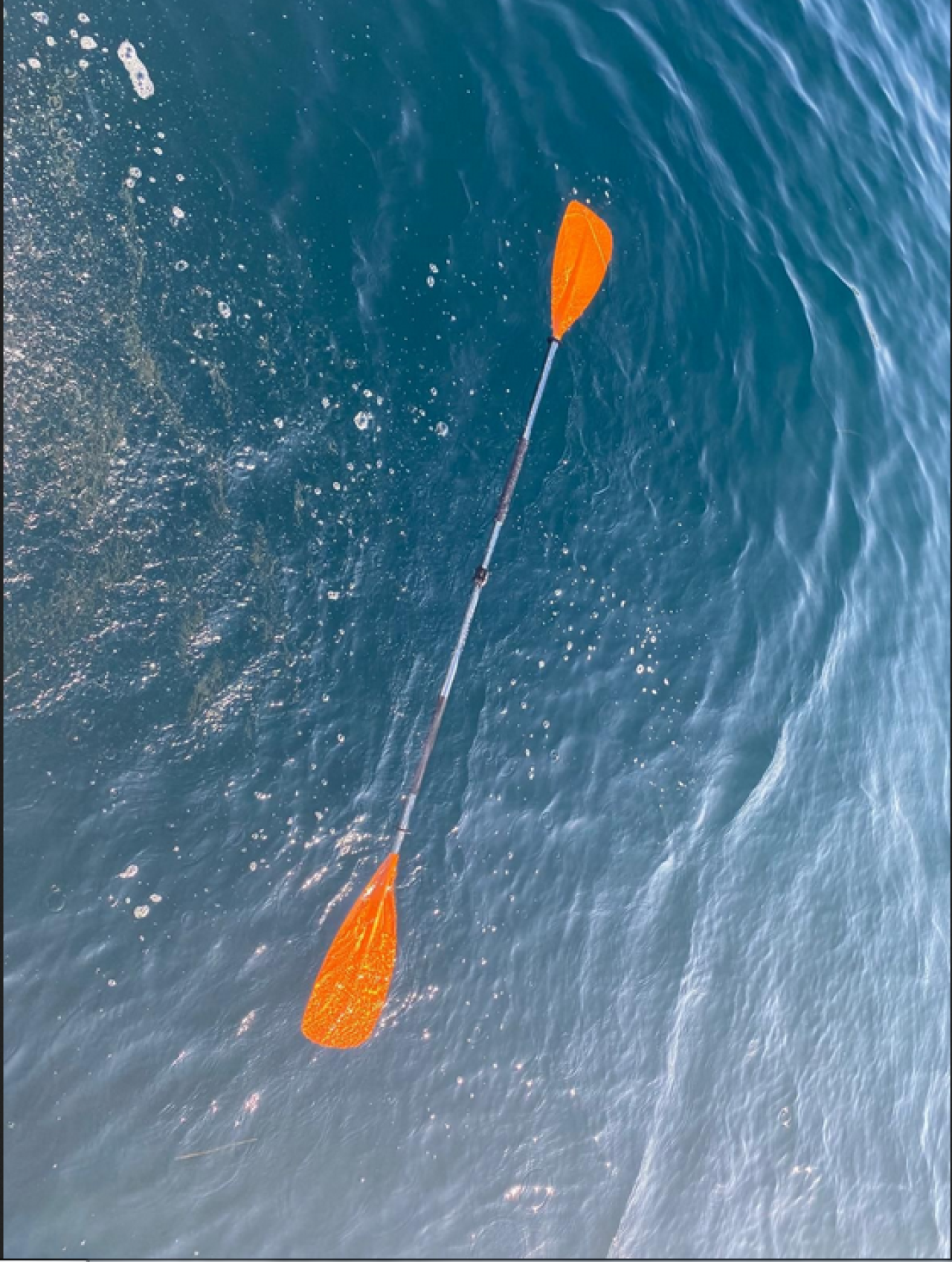 Yalova’da  denize açılan 2 kişi kayboldu!