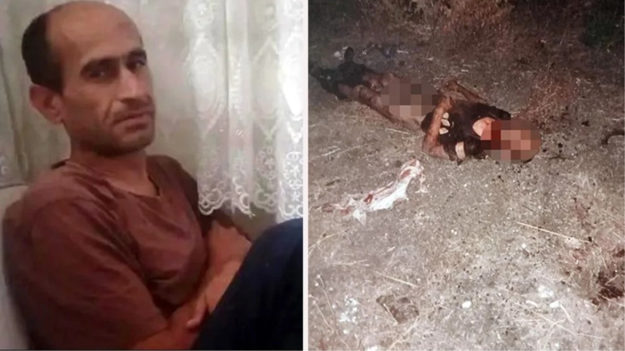 Cinayet mi köpek saldırısı mı? Fatih'teki vahşetin detayları ortaya çıktı