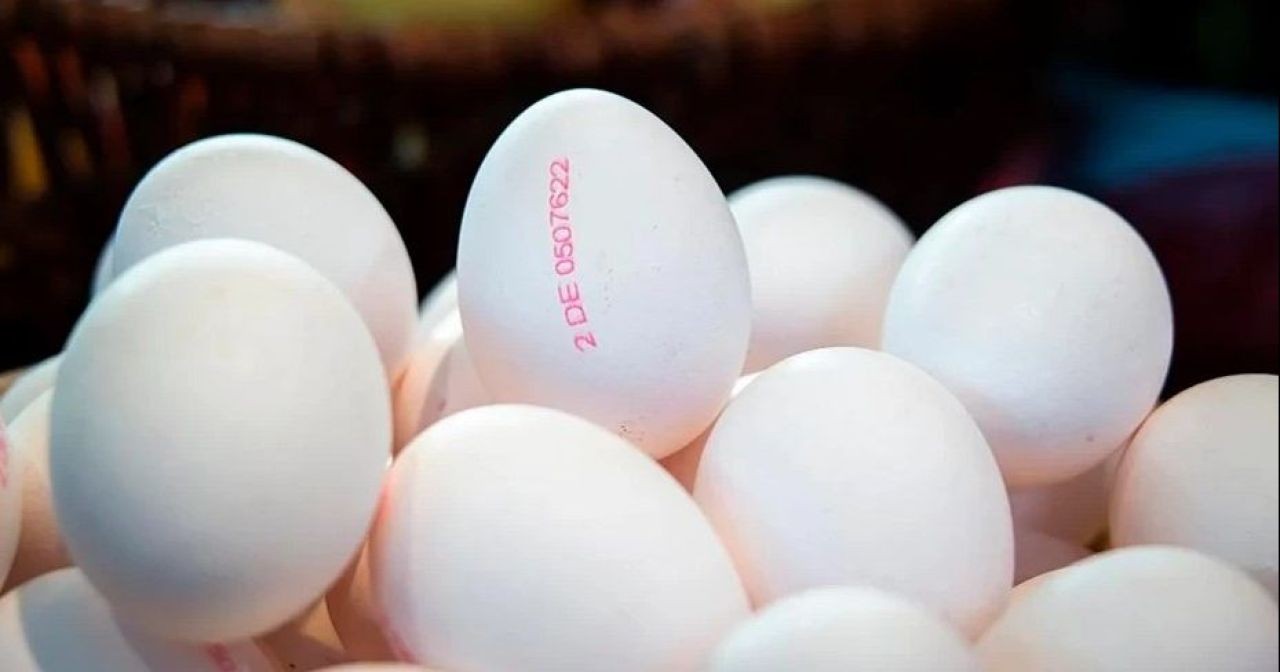 Yumurtaların üzerinde bulunan numaralar ne anlama geliyor? 2,  3 ve 4 numaralı yumurtalar zehirli mi? Bakanlıktan açıklam