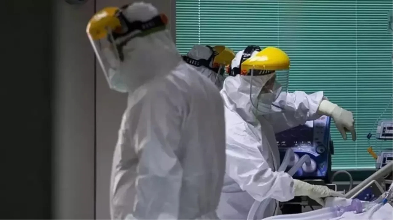 Avrupa'dan "M Çiçeği" uyarısı: İthal vakalar artabilir!