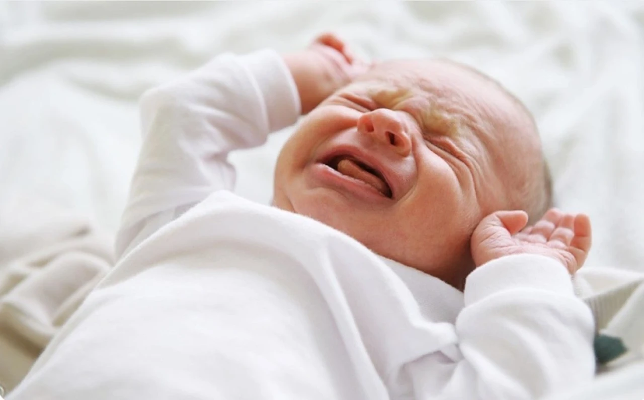 Ünlü bebek markasına iflas şoku!