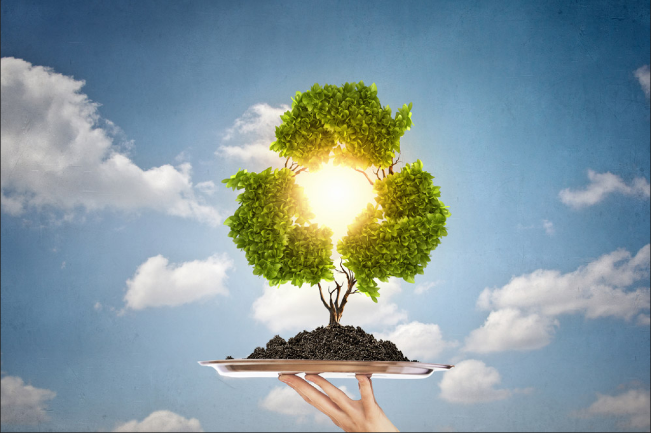 Evinizde Sıfır Atık Mümkün Mü? Geri Dönüşüm ve Doğal Ürün Kullanımı İpuçları