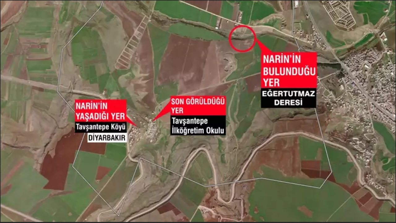 Narin Güran cinayeti: Gözaltı sayısı yükseldi!