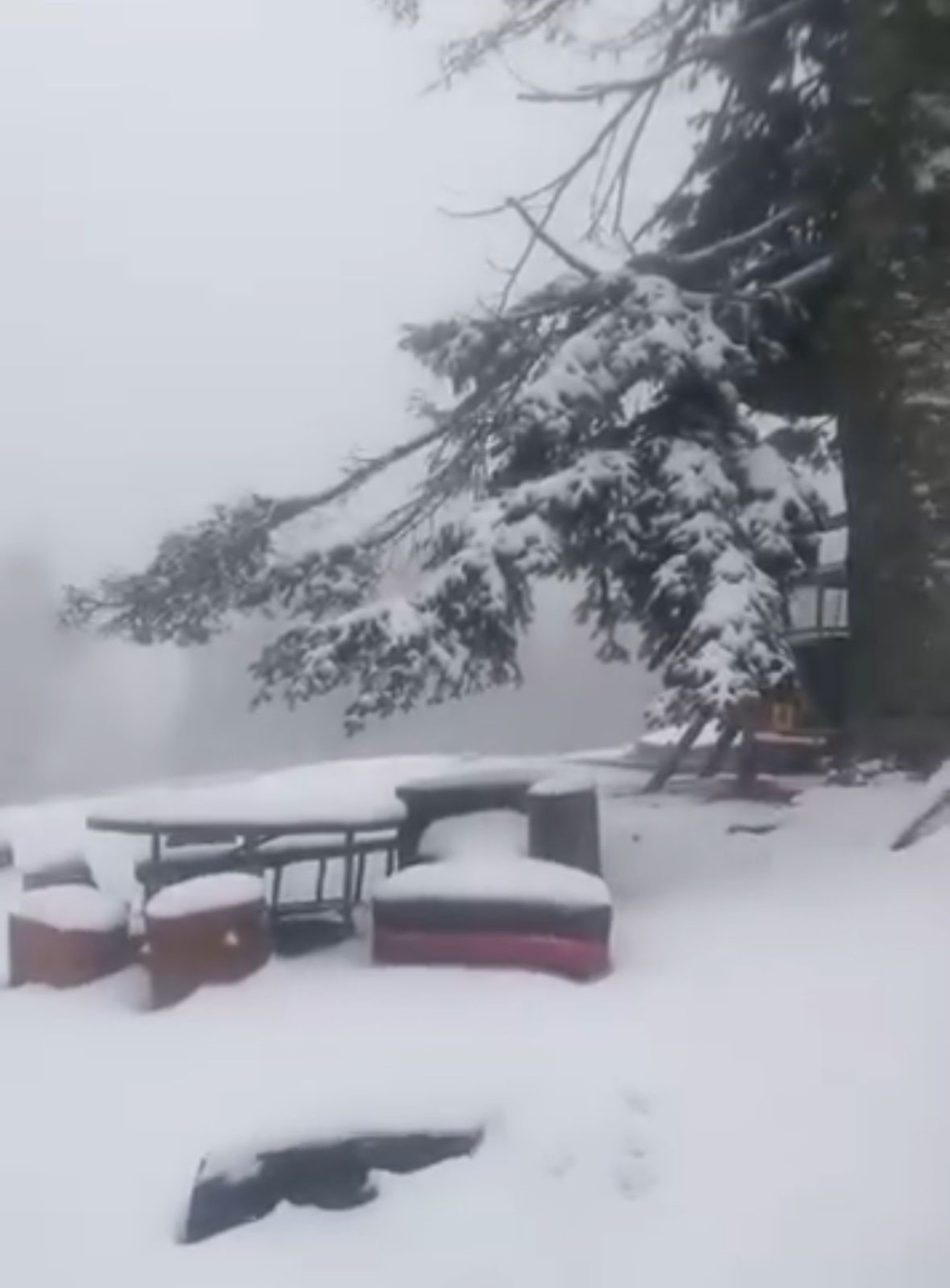 Düzce'de kar kalınlığı 10 santimetreye ulaştı