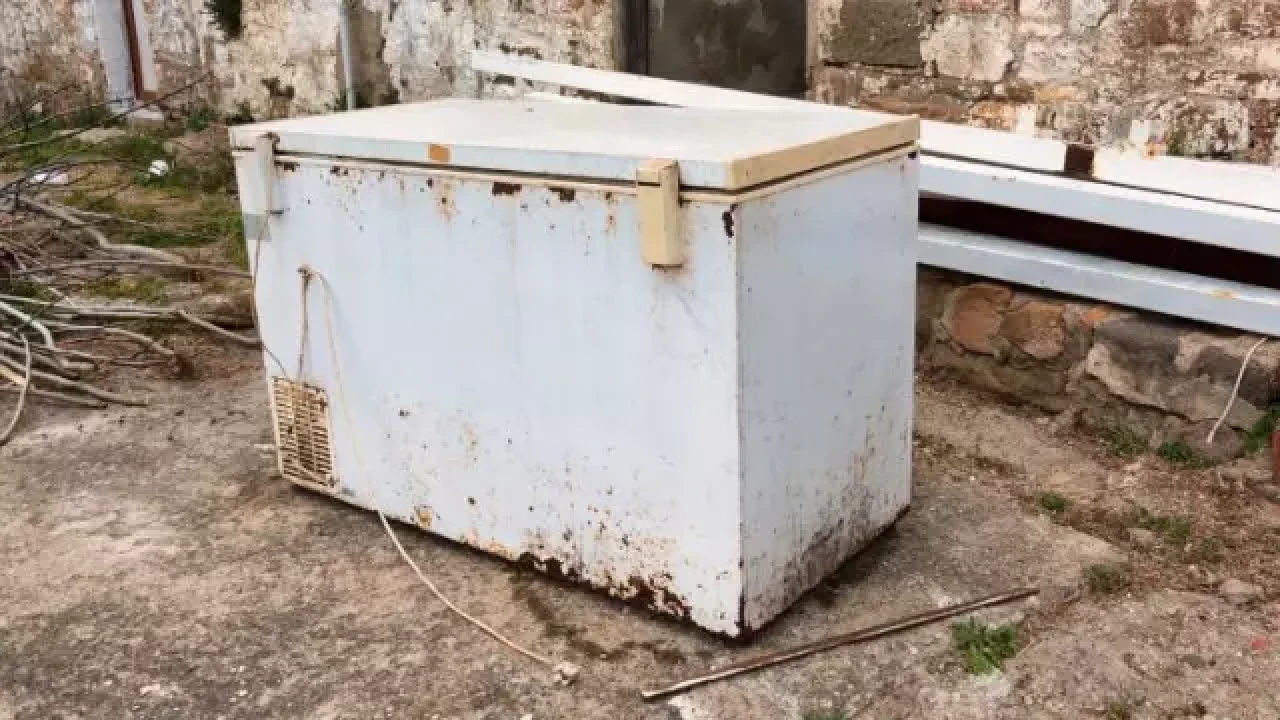 Ücretsiz aldığı derin dondurucudan,  kayıp olan genç kıza ait ceset parçaları çıktı