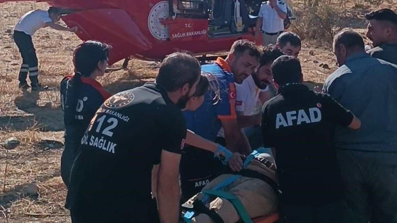 Meyve toplarken ağaçtan düştü,  hastaneye kaldırıldı