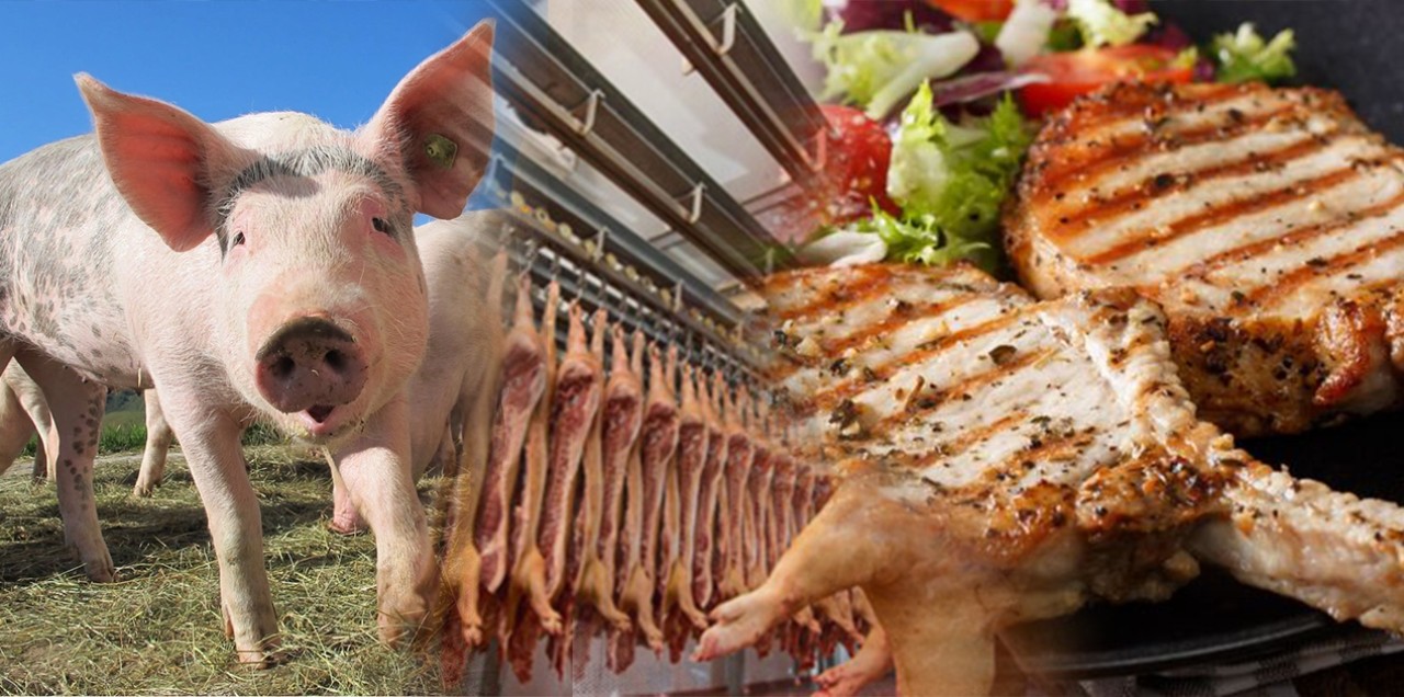 KYK yurt ihaleleri bile bunlara verilmiş: Millete domuz eti yedirmişler!