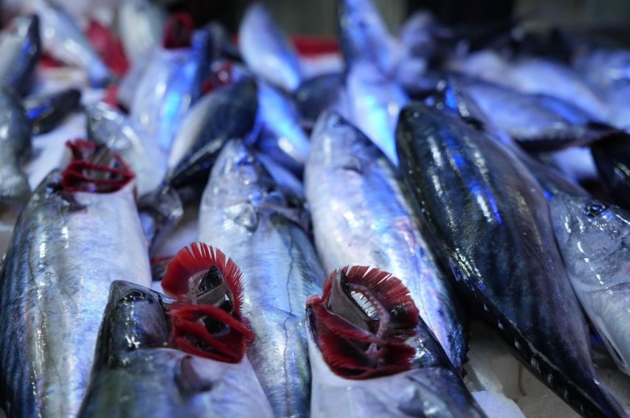 Fırtına dindi,  balık tezgahları şenlendi