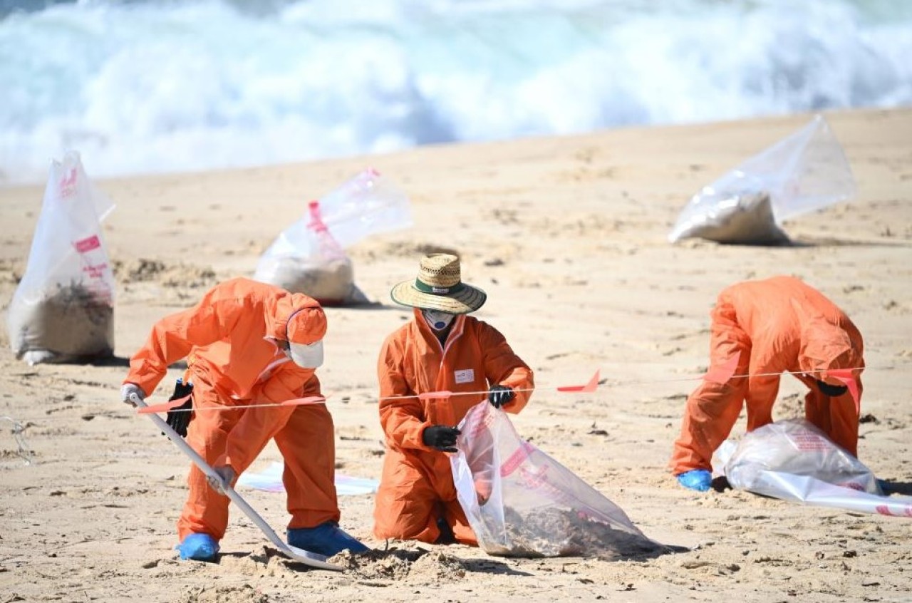 Avustralya sahillerinde vatandaş denize giremiyor: Zehirli petrol paniği!