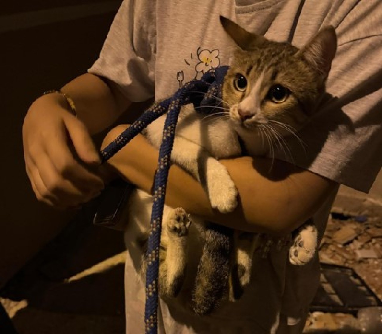 İtfaiye ekipleri kuyuya düşen minik kedi için seferber oldu