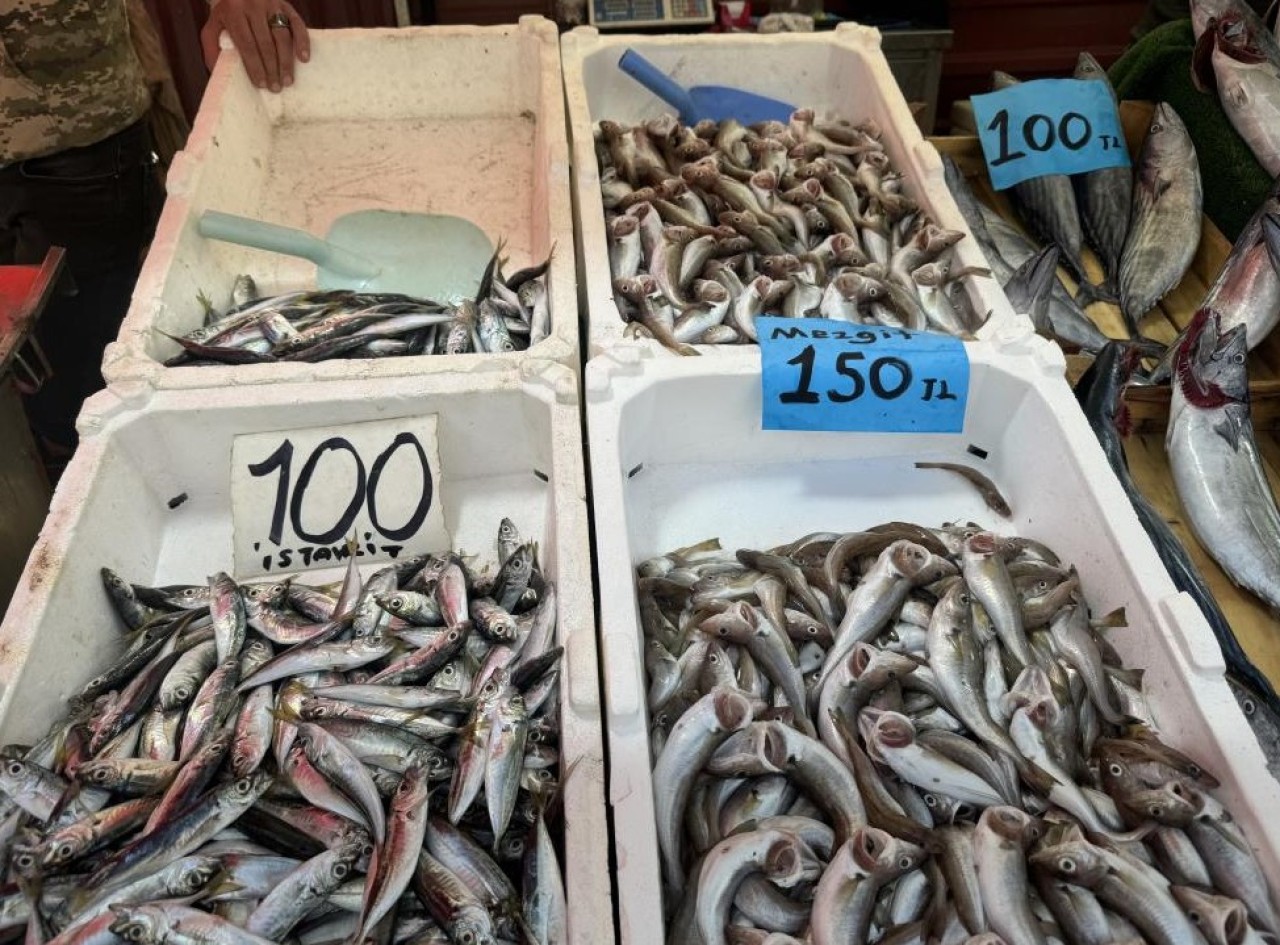 Balık sezonu açıldı: En pahalı balık mezgit oldu!