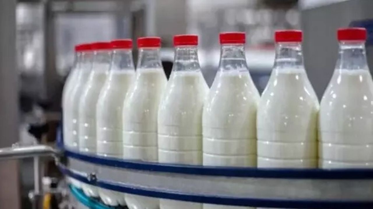 Türkiye'nin ünlü süt markası konkordato ilan etti!